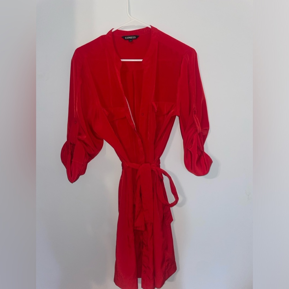 Express Red Plush Work Dress